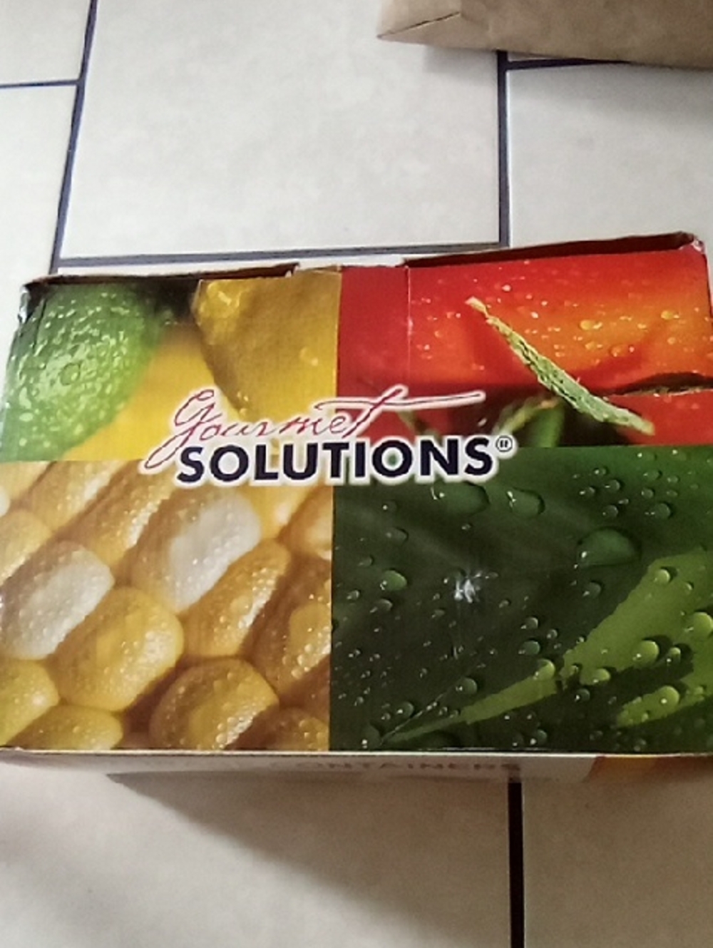 Gourmet Solutions Multi-Color Food Storage Box
